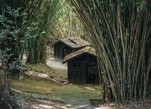 竹林中的古朴小屋