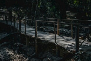 林间木质栈道景观