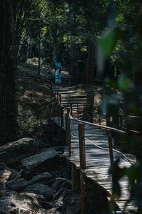 林间木栈道 静谧自然景
