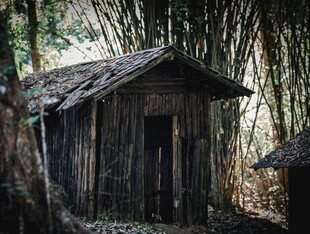 林间古朴小屋