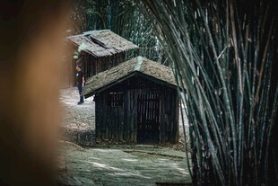 竹林中的古朴小屋