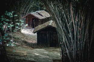 竹林中的古朴小屋