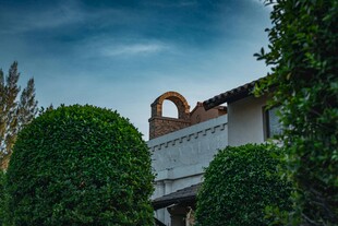 庭院绿植环绕的建筑一角