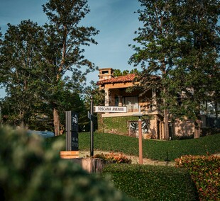 湖畔绿荫中的精致别墅