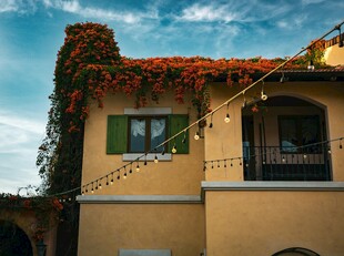 爬满花藤的温馨欧式小屋