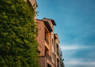 红砖建筑旁的葱郁绿植