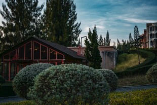 湖畔木屋旁的绿植景观