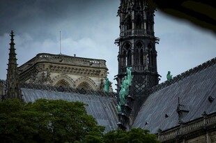 巴黎圣母院建筑局部景观