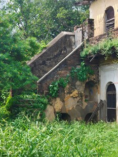 荒废别墅被绿植环绕