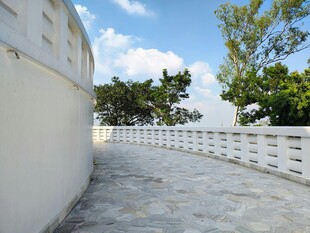 白色围墙边的石板路风景