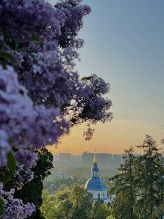 紫花掩映下的蓝顶建筑