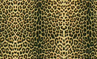 豹纹纹理布料图案