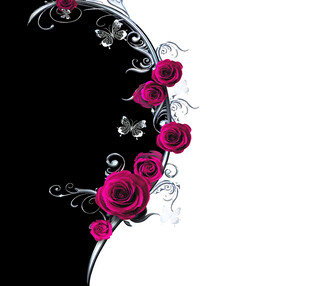 黑色背景上的玫红花卉装饰