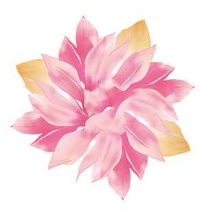 粉色渐变水彩花卉图案