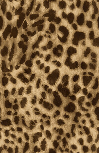 豹纹图案布料纹理