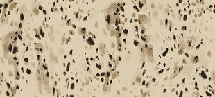 米白色斑点大理石纹理