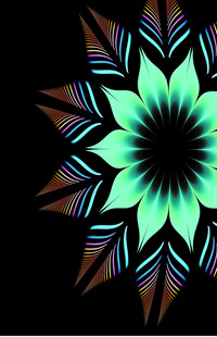 炫彩花卉几何图案