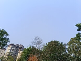 绿树环绕的高层住宅