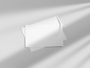 高档邀请函VI样机效果图 图片