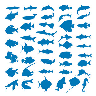 蓝色鱼类剪影集合