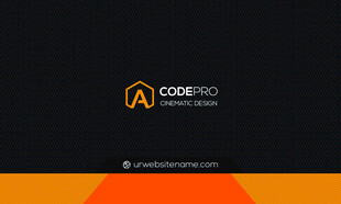 Code Leo品牌标识展示