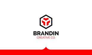 BRANDIN公司简约标志
