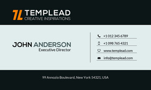 简约商务名片设计示例