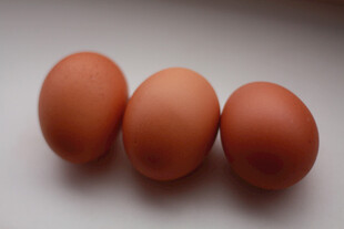 鸡蛋