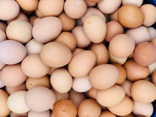 鸡蛋
