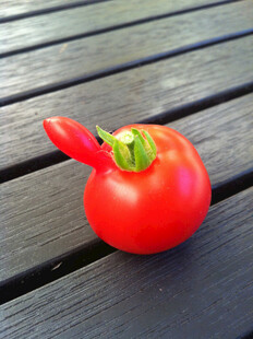 红番茄