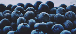 蓝莓