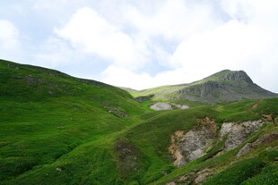 长白山西坡高山草甸