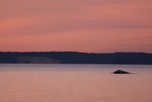 夕阳下的静谧湖面与孤石