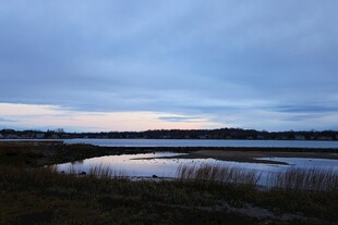 黄昏下宁静的湿地景观