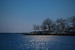 湖畔夕照 静谧树木映波光