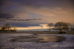 黄昏湿地景观 静谧之美