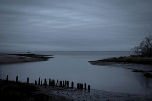 黄昏湖畔 静谧木桩景致