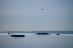 海上孤屿 天际飞鸟