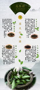 芦荟的多样用途展示