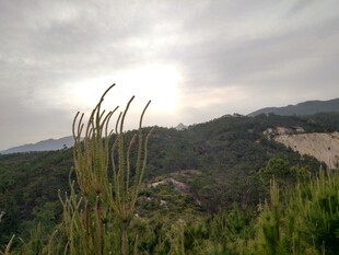 山间草景 云雾缭绕天色暗