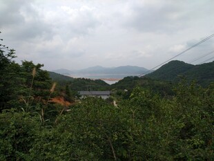 山间绿意浓 远观云雾景