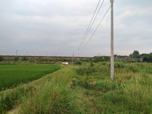 田野乡间小路与电线景观