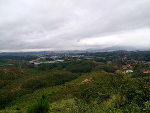 俯瞰绿意盎然的乡村景色