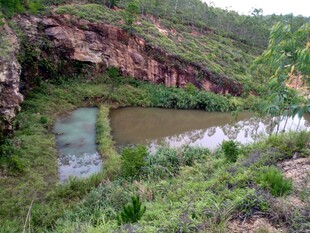 山间静谧小池塘