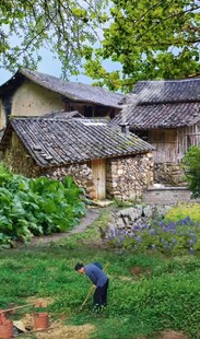 乡村田园劳作景象