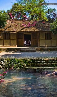 古朴庭院旁的清幽水景