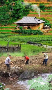 乡村田园劳作场景