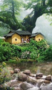 山林间的静谧小屋