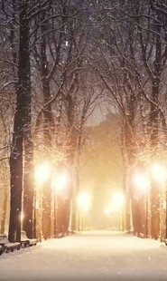 冬日雪夜林间暖光之路