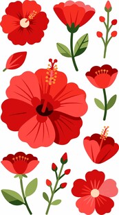 红色扶桑花花卉图案